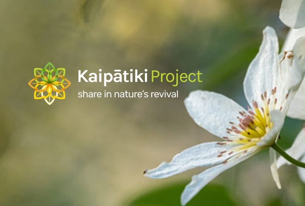 Kaipatiki branding