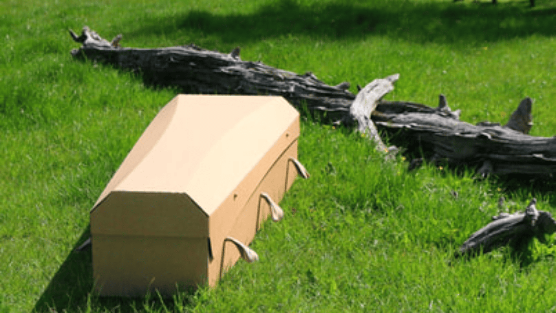 Outside The Box Caskets